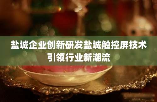 盐城企业创新研发盐城触控屏技术引领行业新潮流