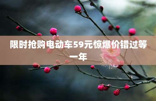 限时抢购电动车59元惊爆价错过等一年