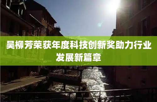 吴柳芳荣获年度科技创新奖助力行业发展新篇章