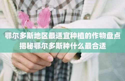 鄂尔多斯地区最适宜种植的作物盘点揭秘鄂尔多斯种什么最合适