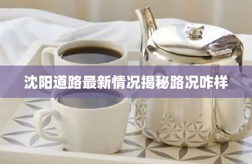 沈阳道路最新情况揭秘路况咋样