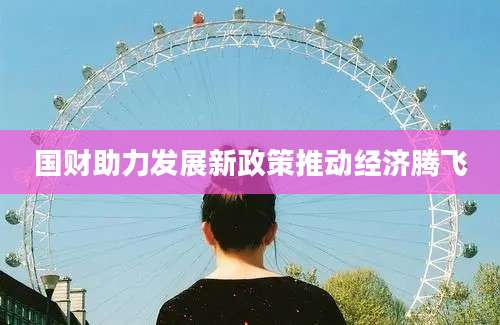 国财助力发展新政策推动经济腾飞