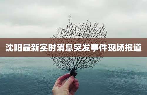 沈阳最新实时消息突发事件现场报道