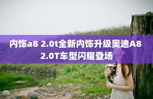 内饰a8 2.0t全新内饰升级奥迪A8 2.0T车型闪耀登场