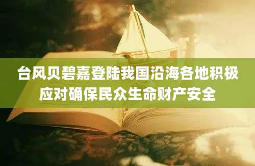 台风贝碧嘉登陆我国沿海各地积极应对确保民众生命财产安全