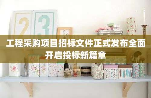 工程采购项目招标文件正式发布全面开启投标新篇章