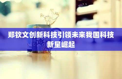 郑钦文创新科技引领未来我国科技新星崛起