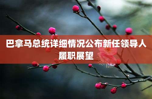 巴拿马总统详细情况公布新任领导人履职展望