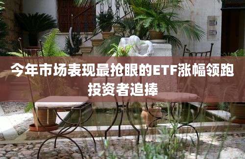 今年市场表现最抢眼的ETF涨幅领跑投资者追捧