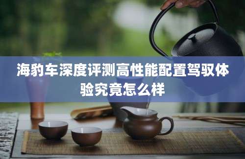 海豹车深度评测高性能配置驾驭体验究竟怎么样