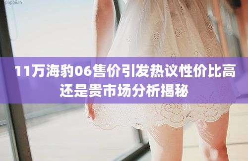 11万海豹06售价引发热议性价比高还是贵市场分析揭秘