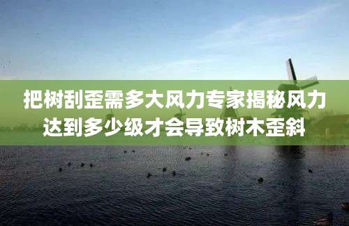 把树刮歪需多大风力专家揭秘风力达到多少级才会导致树木歪斜