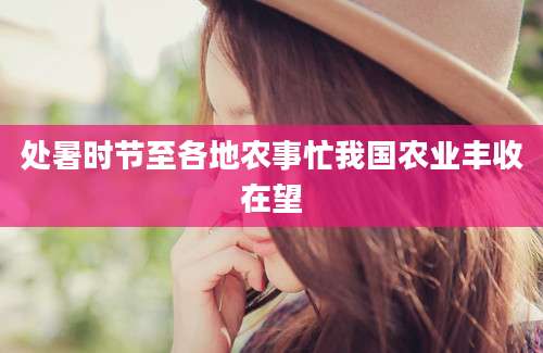 处暑时节至各地农事忙我国农业丰收在望