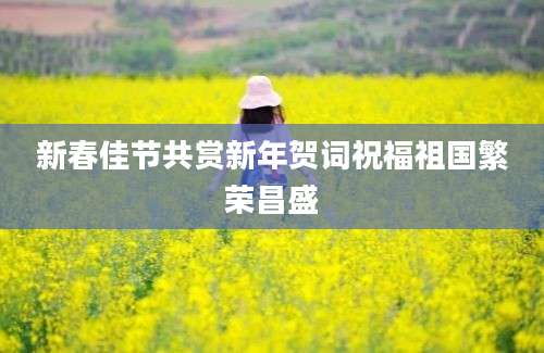 新春佳节共赏新年贺词祝福祖国繁荣昌盛