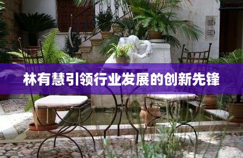 林有慧引领行业发展的创新先锋