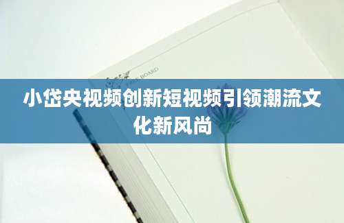小岱央视频创新短视频引领潮流文化新风尚