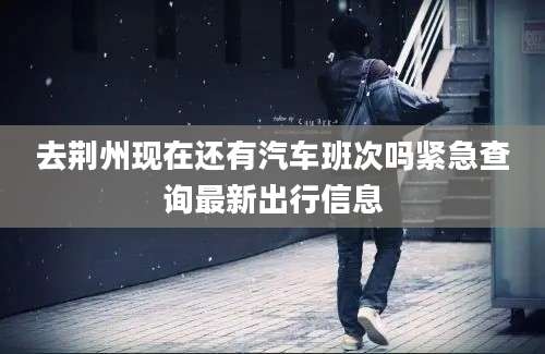 去荆州现在还有汽车班次吗紧急查询最新出行信息