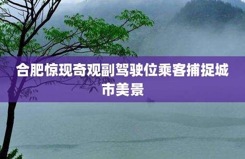 合肥惊现奇观副驾驶位乘客捕捉城市美景