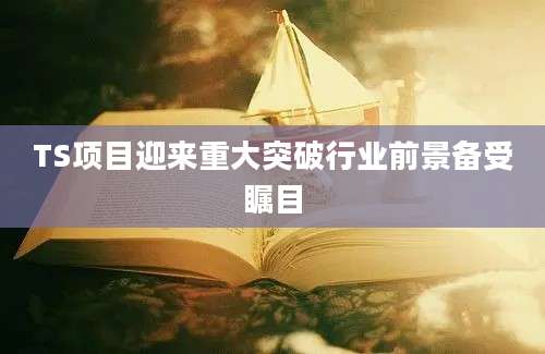TS项目迎来重大突破行业前景备受瞩目