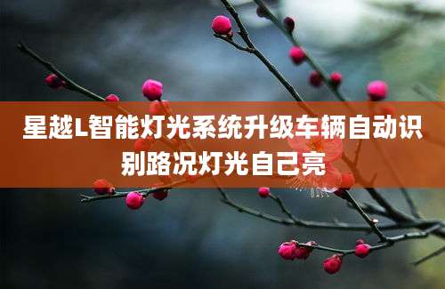 星越L智能灯光系统升级车辆自动识别路况灯光自己亮
