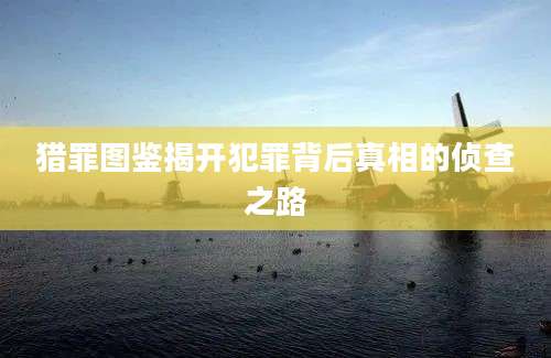 猎罪图鉴揭开犯罪背后真相的侦查之路