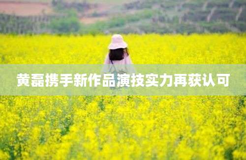 黄磊携手新作品演技实力再获认可