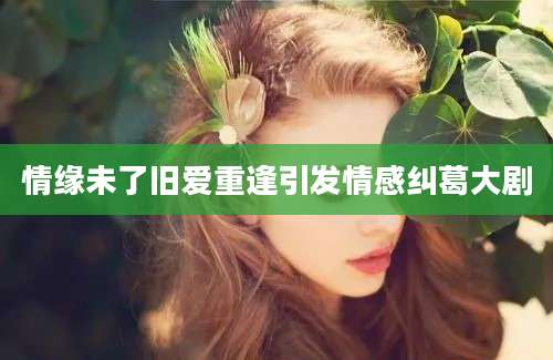 情缘未了旧爱重逢引发情感纠葛大剧