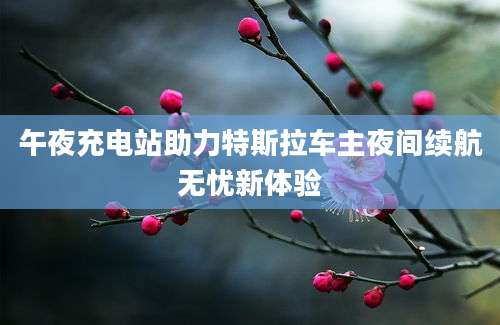 午夜充电站助力特斯拉车主夜间续航无忧新体验