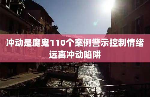 冲动是魔鬼110个案例警示控制情绪远离冲动陷阱