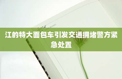 江的特大面包车引发交通拥堵警方紧急处置