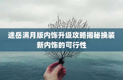 途岳满月版内饰升级攻略揭秘换装新内饰的可行性