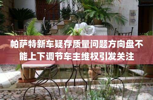 帕萨特新车疑存质量问题方向盘不能上下调节车主维权引发关注