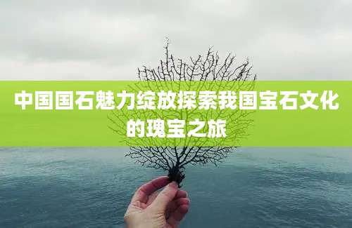 中国国石魅力绽放探索我国宝石文化的瑰宝之旅