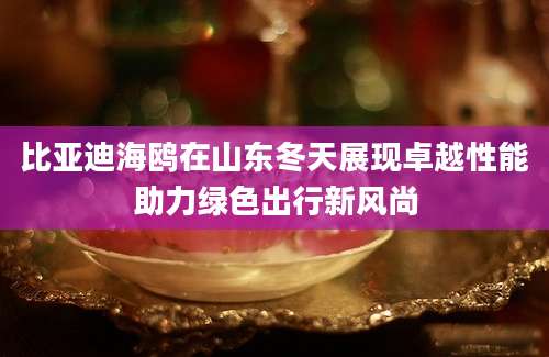 比亚迪海鸥在山东冬天展现卓越性能助力绿色出行新风尚