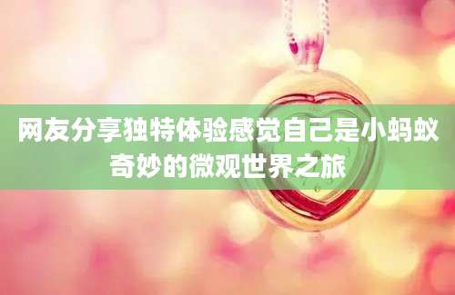 网友分享独特体验感觉自己是小蚂蚁奇妙的微观世界之旅