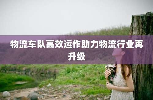物流车队高效运作助力物流行业再升级