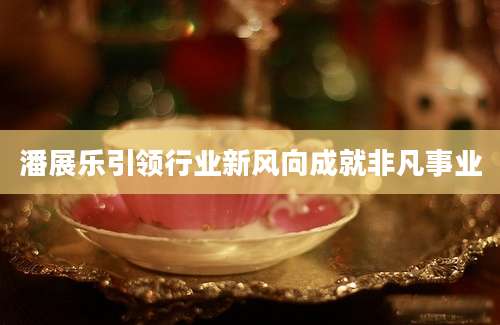 潘展乐引领行业新风向成就非凡事业