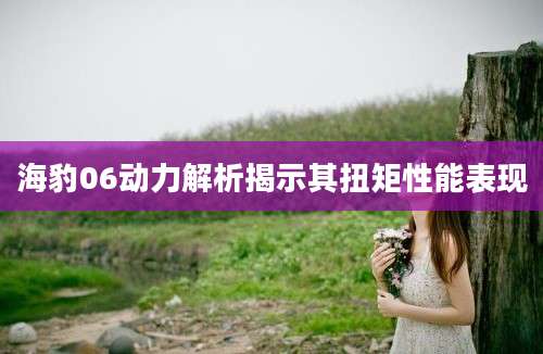 海豹06动力解析揭示其扭矩性能表现