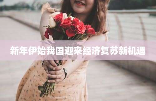 新年伊始我国迎来经济复苏新机遇