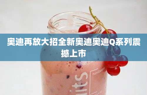 奥迪再放大招全新奥迪奥迪Q系列震撼上市