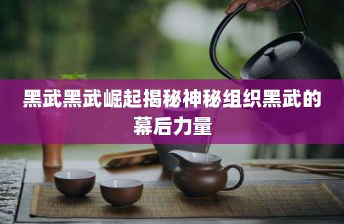 黑武黑武崛起揭秘神秘组织黑武的幕后力量