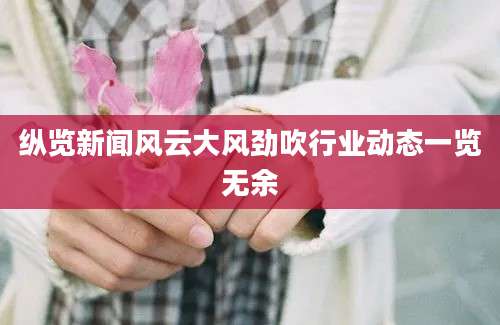 纵览新闻风云大风劲吹行业动态一览无余