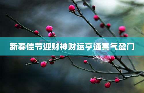 新春佳节迎财神财运亨通喜气盈门