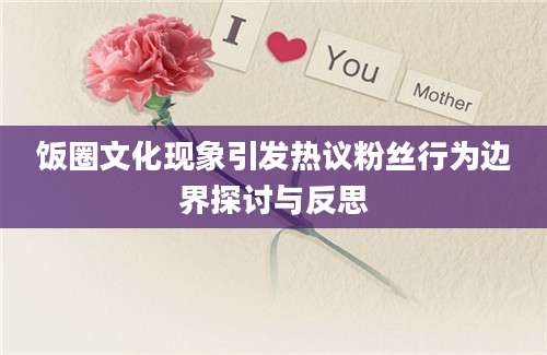 饭圈文化现象引发热议粉丝行为边界探讨与反思