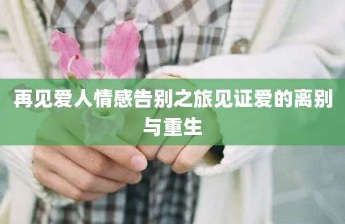 再见爱人情感告别之旅见证爱的离别与重生