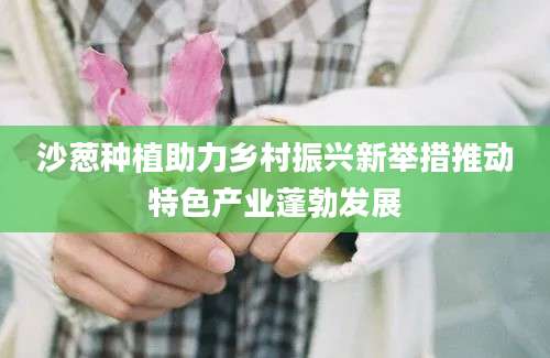 沙葱种植助力乡村振兴新举措推动特色产业蓬勃发展