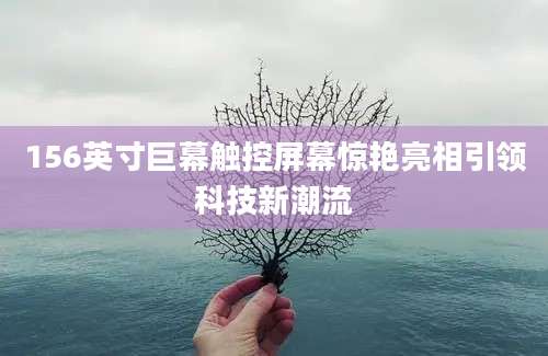 156英寸巨幕触控屏幕惊艳亮相引领科技新潮流
