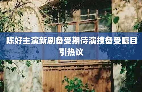 陈好主演新剧备受期待演技备受瞩目引热议