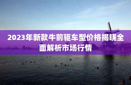 2023年新款牛前驱车型价格揭晓全面解析市场行情