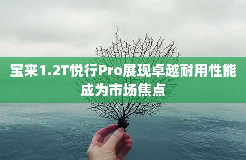 宝来1.2T悦行Pro展现卓越耐用性能成为市场焦点